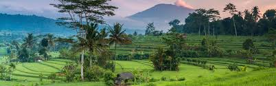 Travailler en Indonésie (et Bali): conseils (visa, budget..) et témoignages