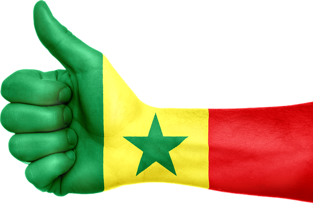 Travailler au Sénégal : le guide complet